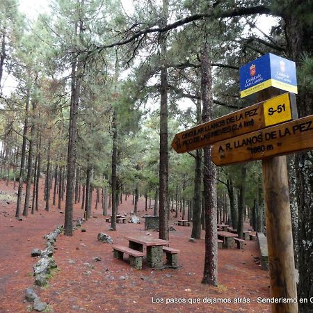 Canarias. Islas Afortunadas Las Palmas de Gran Canária Exterior foto