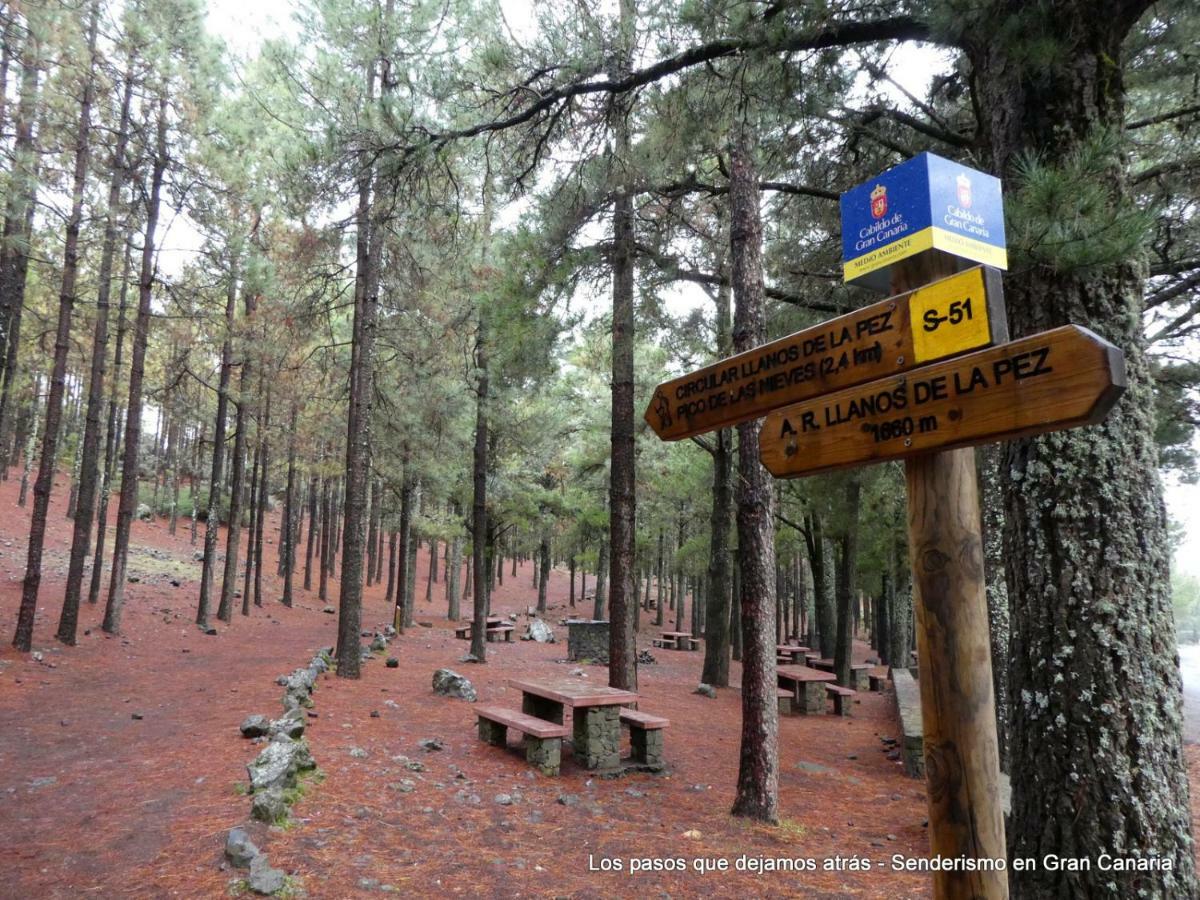 Canarias. Islas Afortunadas Las Palmas de Gran Canária Exterior foto